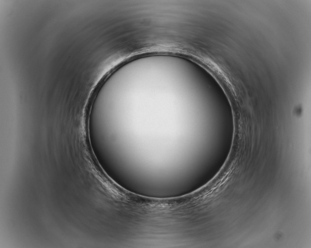 X0000097961230200804071022