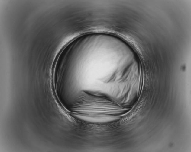 X0000097961231200804071022