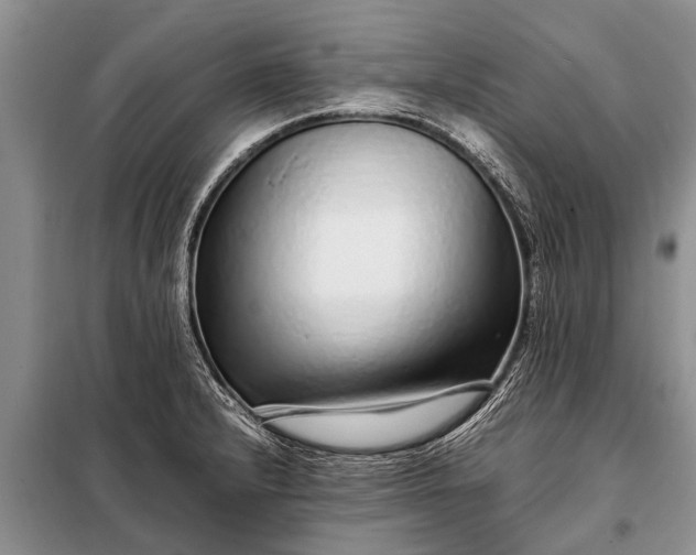 X0000097961232200804071022