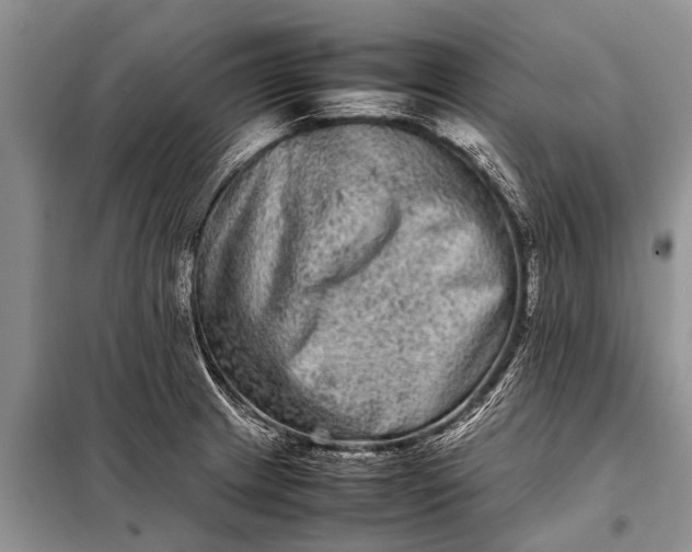 X0000097961233200804071022