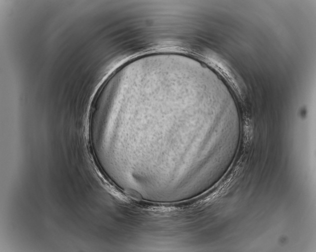 X0000097961236200804071022