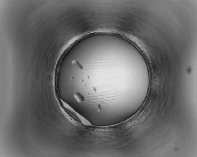 X0000097961237200804071022