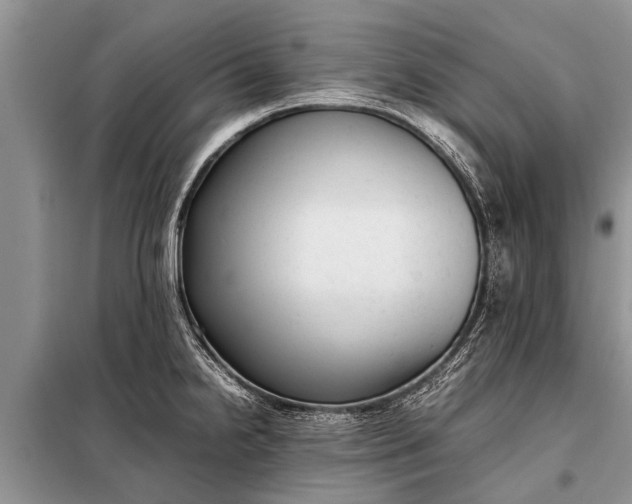 X0000097961238200804071022