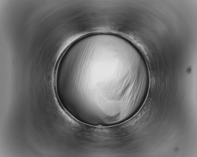 X0000097961239200804071023