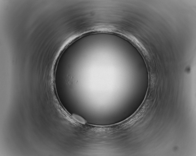 X0000097961240200804071023
