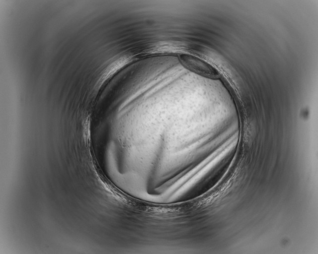 X0000097961241200804071023