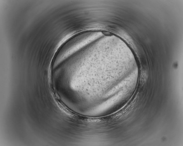 X0000097961242200804071023