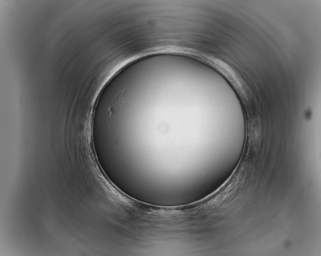 X0000097961244200804071023