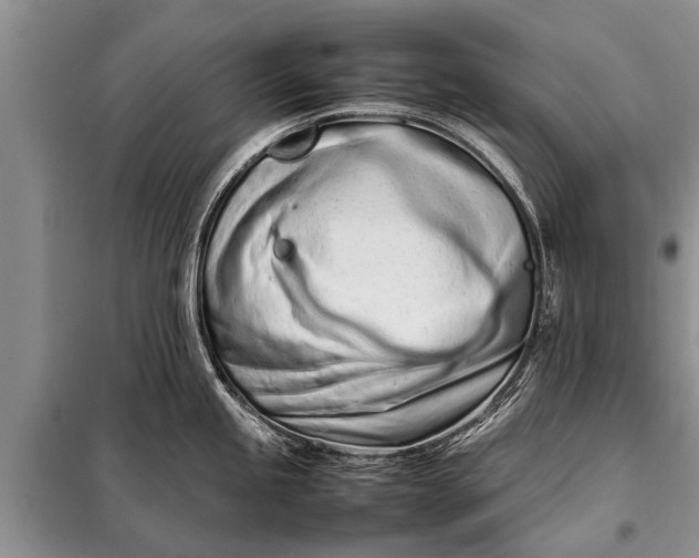 X0000097961245200804071023