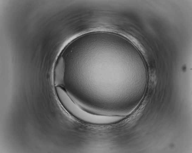 X0000097961246200804071023