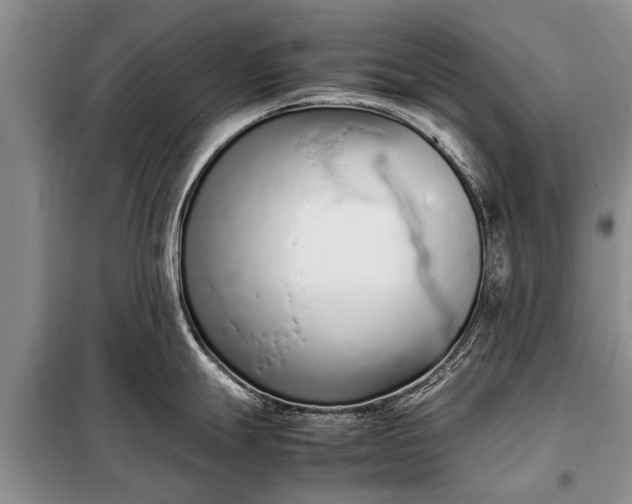 X0000097961247200804071023