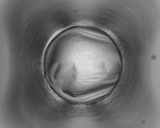 X0000097961248200804071023