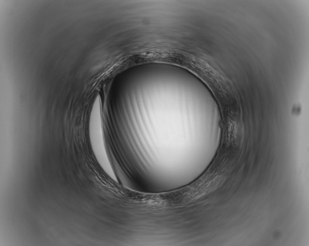 X0000097961250200804071022
