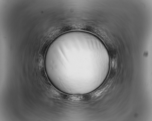 X0000097961251200804071022