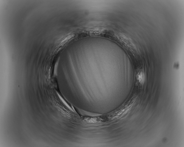 X0000097961252200804071022