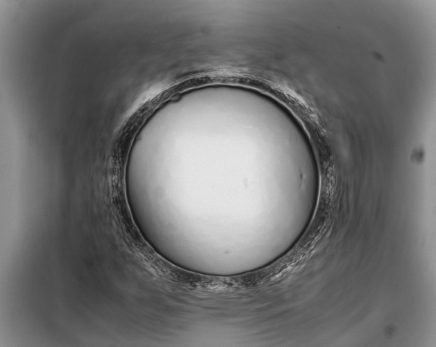 X0000097961255200804071022