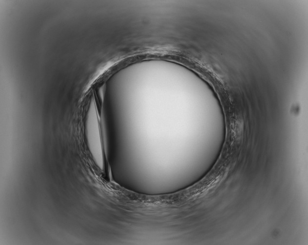 X0000097961256200804071022