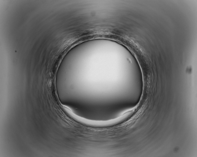 X0000097961257200804071022