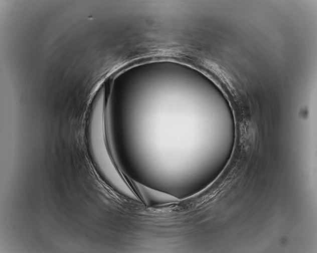 X0000097961260200804071021
