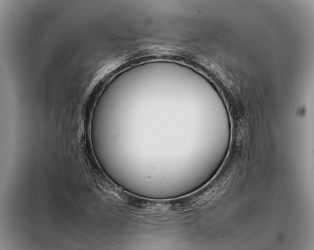 X0000097961261200804071021