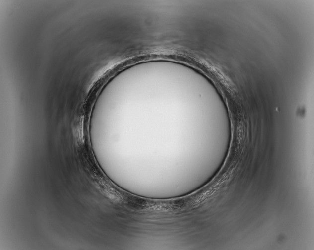 X0000097961262200804071021