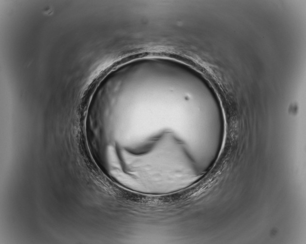 X0000097961263200804071021