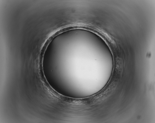 X0000097961264200804071021