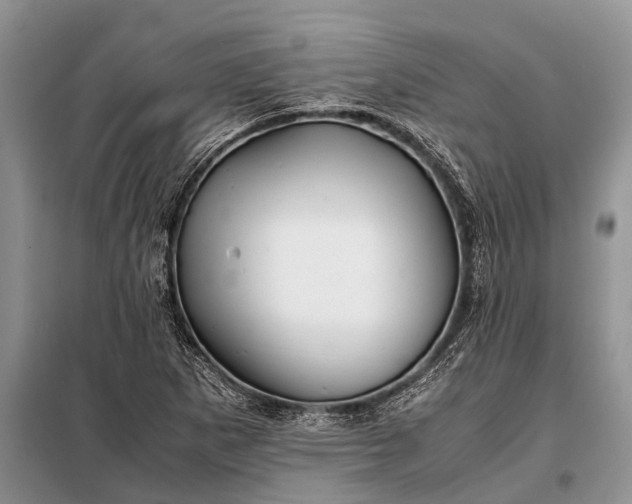 X0000097961265200804071021