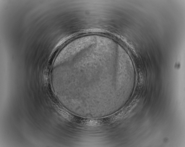 X0000097961266200804071021