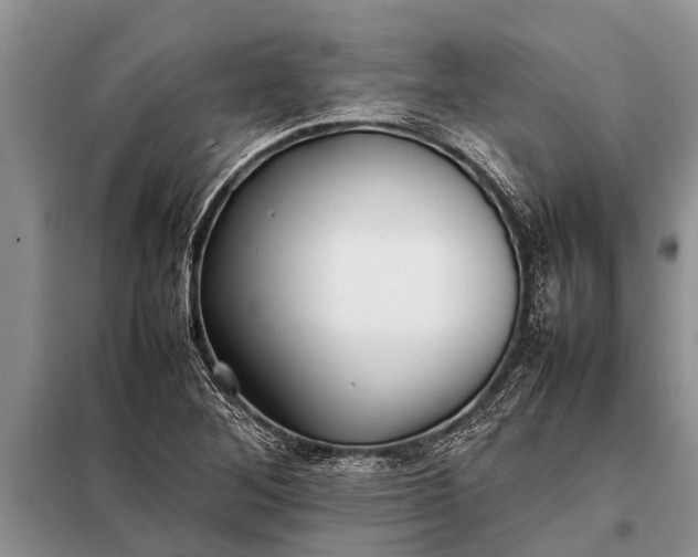 X0000097961268200804071021