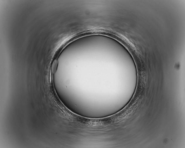 X0000097961269200804071021