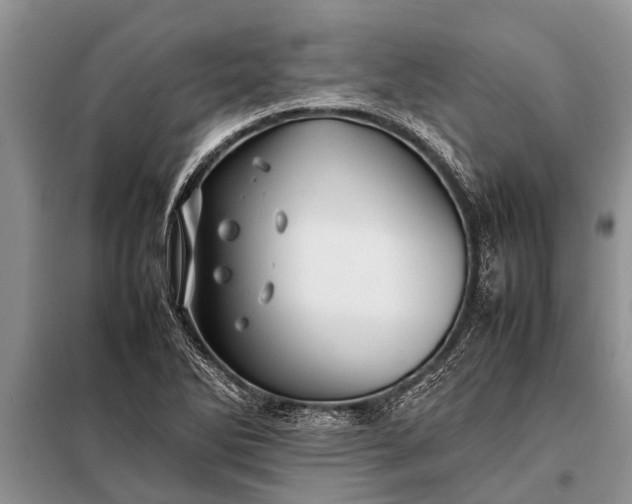 X0000097961270200804071021