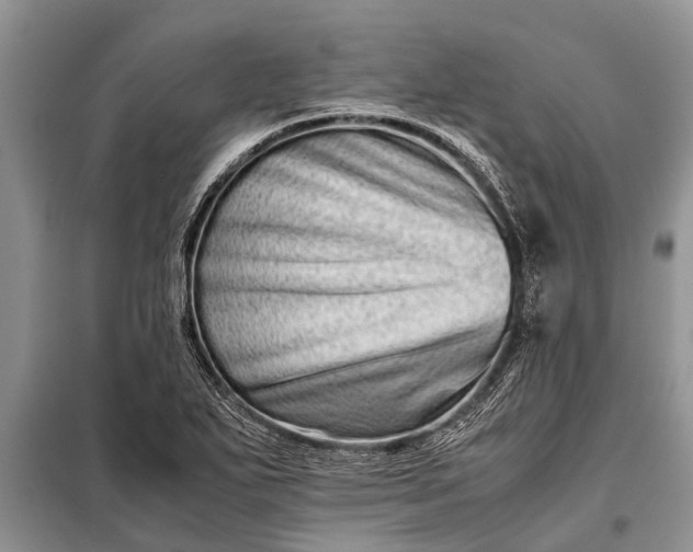X0000097961271200804071021