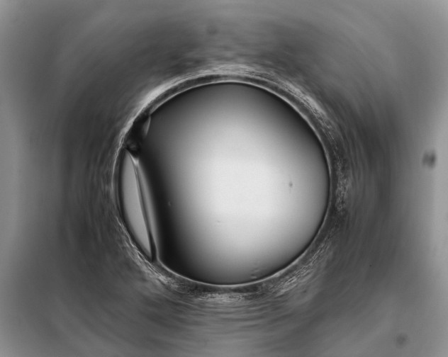 X0000097961272200804071021