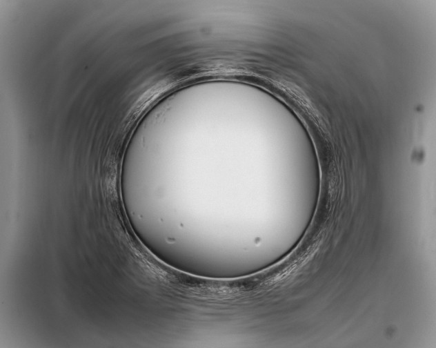 X0000097961273200804071021