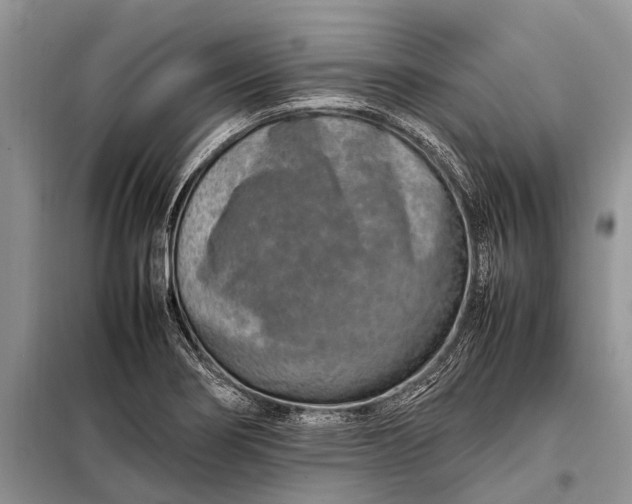 X0000097961274200804071021