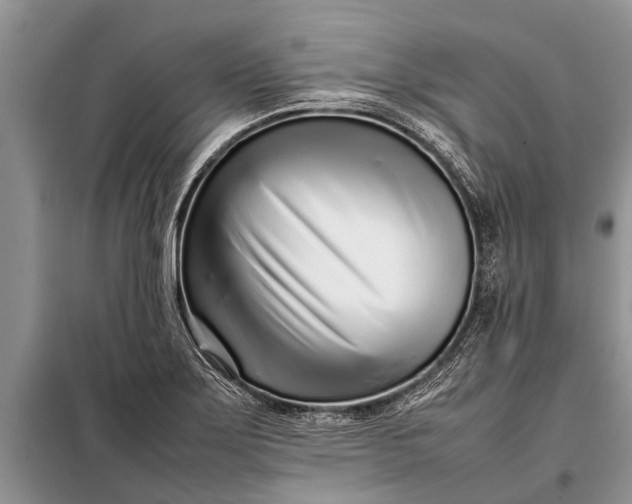 X0000097961275200804071021