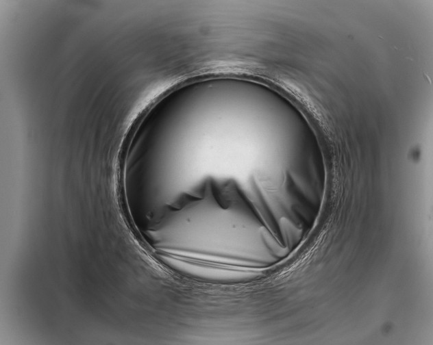 X0000097961277200804071021