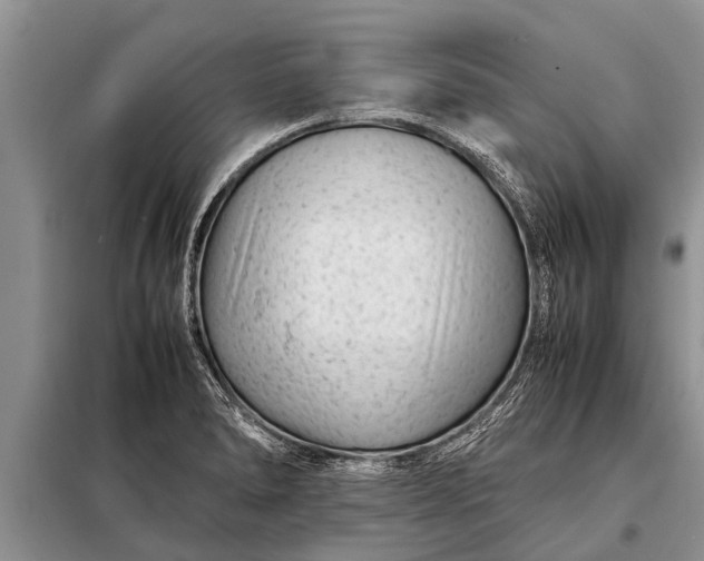 X0000097961278200804071021