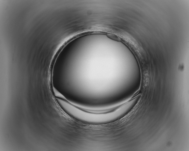 X0000097961280200804071021