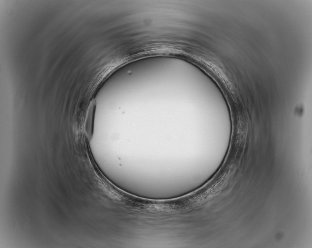 X0000097961281200804071021