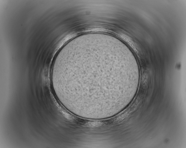 X0000097961282200804071021
