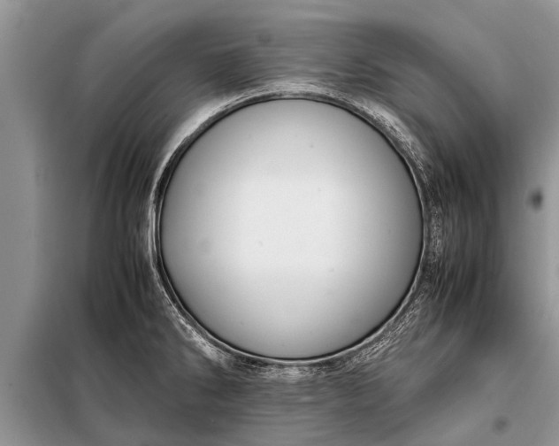 X0000097961286200804071021