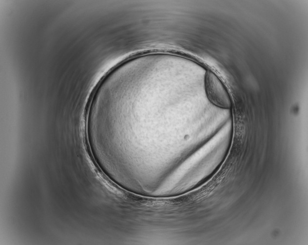 X0000097961287200804071021