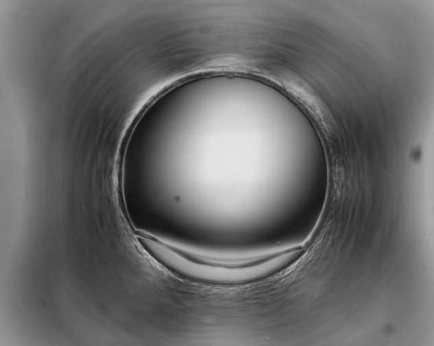 X0000097961288200804071021