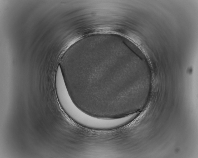 X0000097961289200804071021