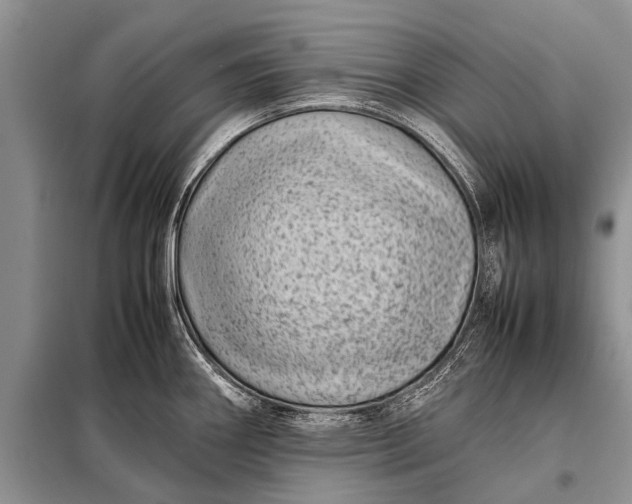 X0000097961290200804071021