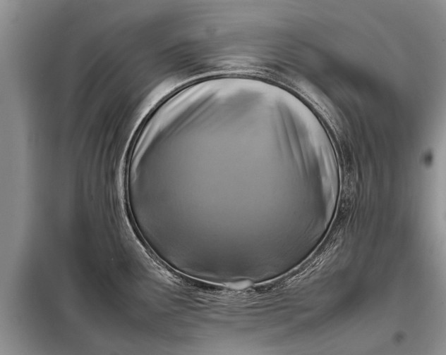 X0000097961291200804071021