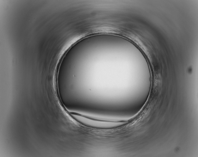 X0000097961293200804071021