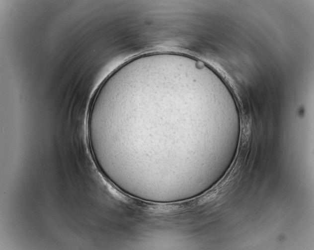 X0000097961294200804071021